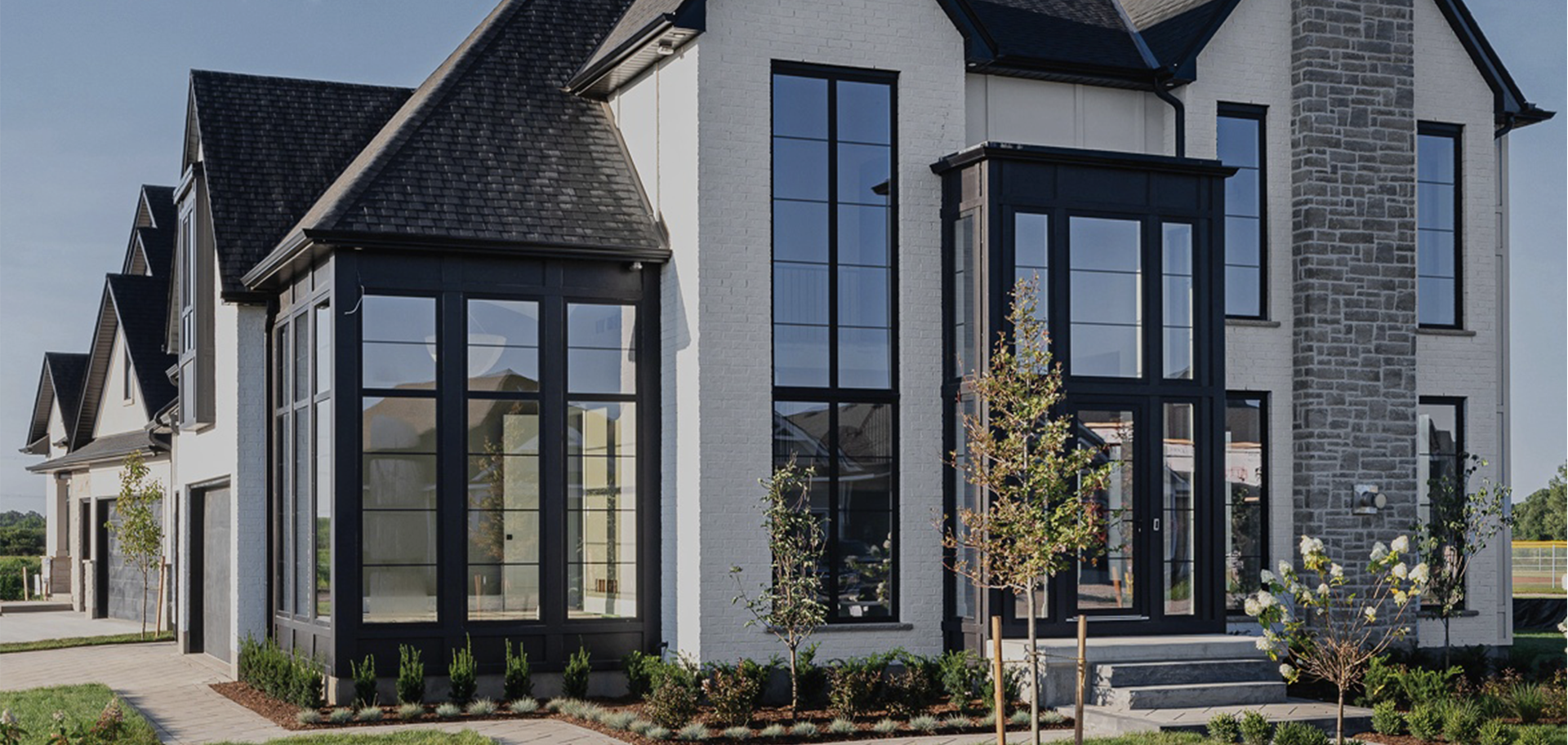 Windows & Door Services